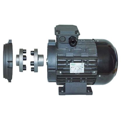 Afbeeldingen van Motor 11 KW 230/400V/50Hz 4-P H132L HW Ø