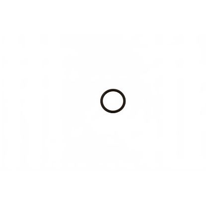 Afbeeldingen van O-ring 20,63 x 2,5 voor ROT. borstel