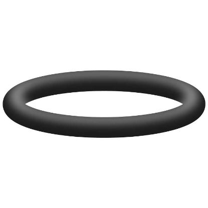 Afbeeldingen van O-Ring NBR voor ventielzitting 5 CP