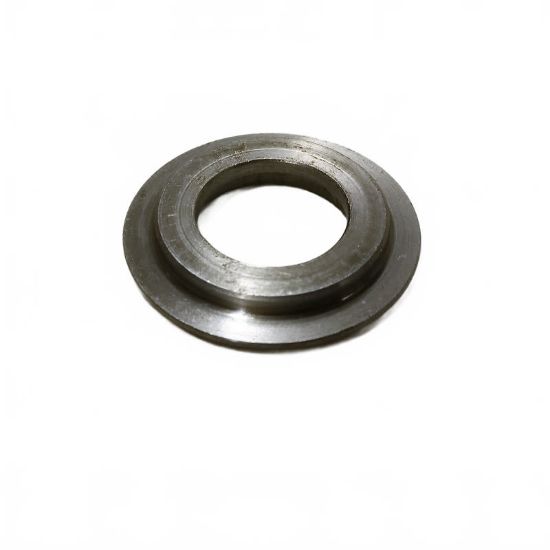 Afbeeldingen van Veerschijf