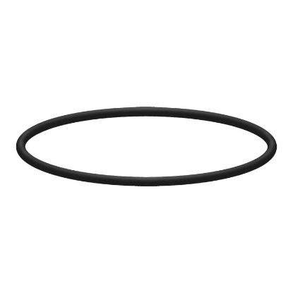 Afbeeldingen van O-Ring v. Filterhuis 9-3/4" 1"BI RVS