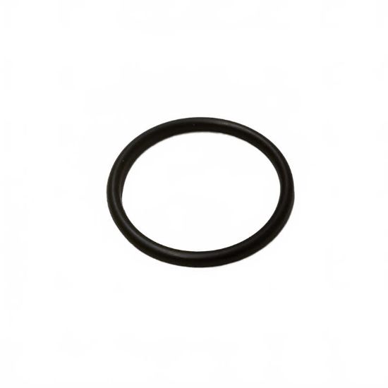 Afbeeldingen van O-ring 31,42 x 2,62 MM (AQ pomp)