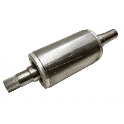 Afbeeldingen van Rotor 100 400 V 50 HZ (AQ-pomp)