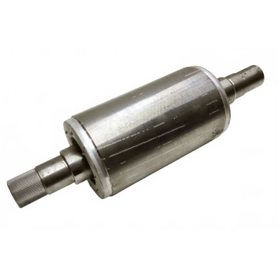 Afbeeldingen van Rotor 100 400 V 50 HZ (AQ-pomp)