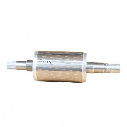 Afbeeldingen van Rotor BG112 5,5 KW (vanaf ?)