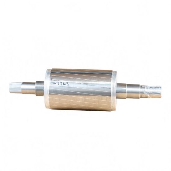 Afbeeldingen van Rotor BG112 5,5 KW (vanaf ?)